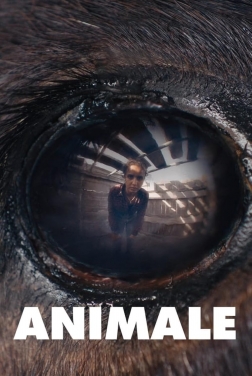 Animale  (2024)