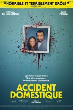 Accident domestique (2025)